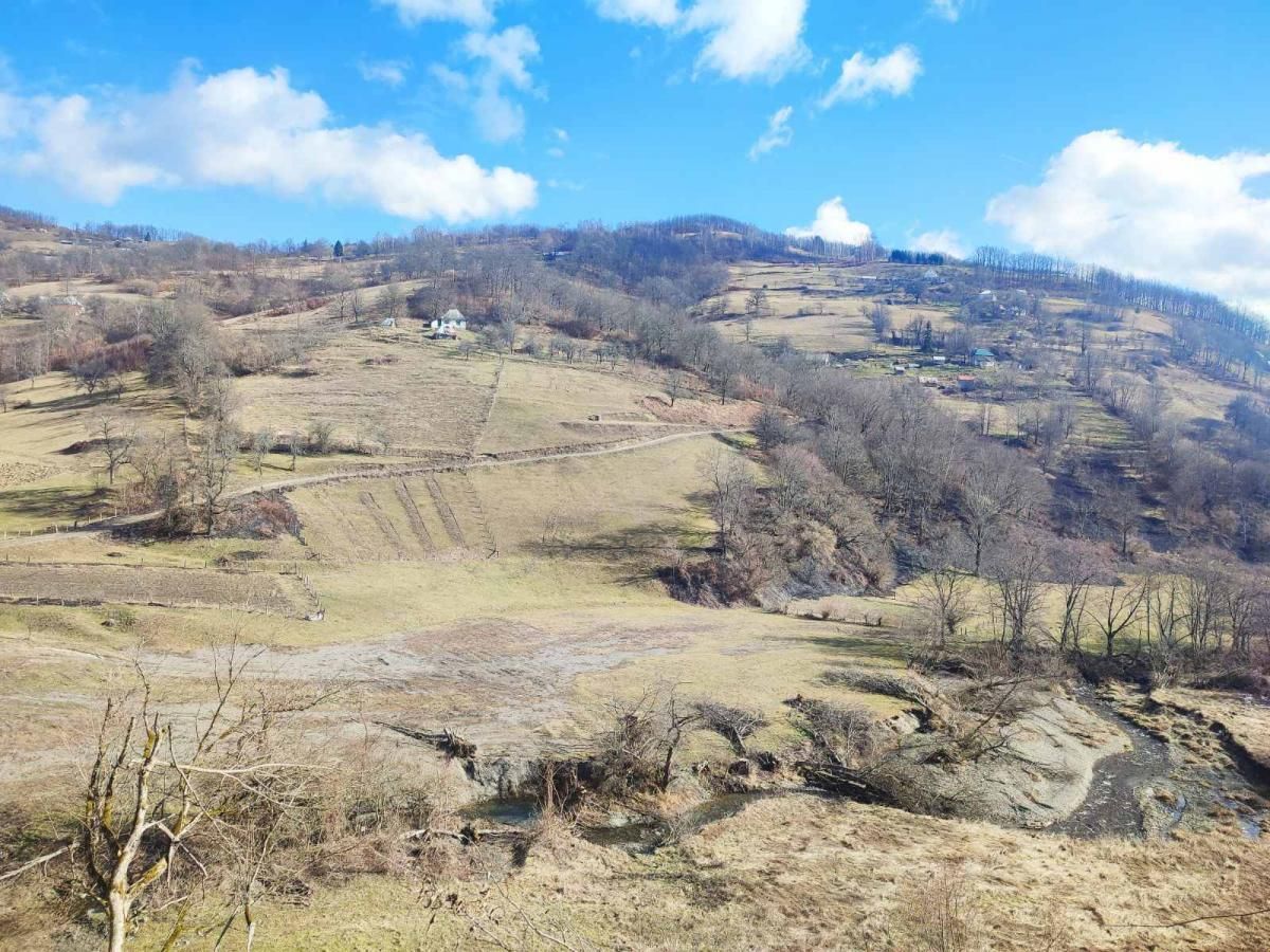 Northern Region, Mojkovac