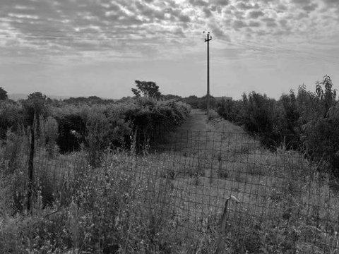 Pescantina,  IT