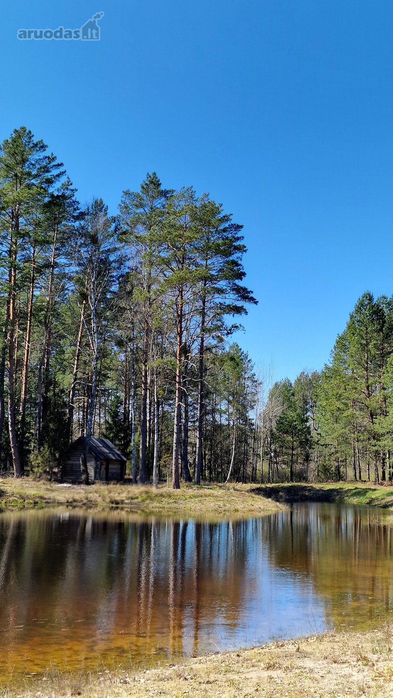 Druskininkų sav., Randamonių k. Grovos g.
