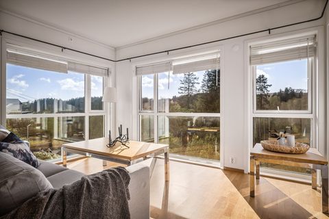 Fjellavegen 231D, Fjell