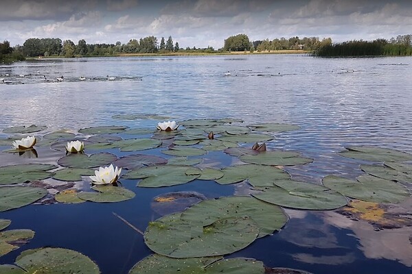 Võrumaa, Antsla vald, Antsu