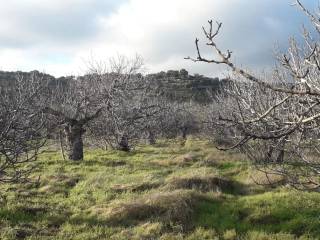San Román de los Montes,  ES
