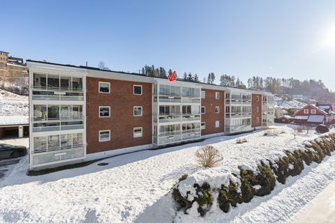 Lienveien 55C, Notodden