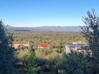 Thouria,  GR