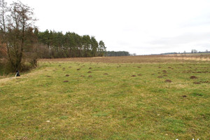 Góra