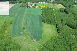 Łęki Górne