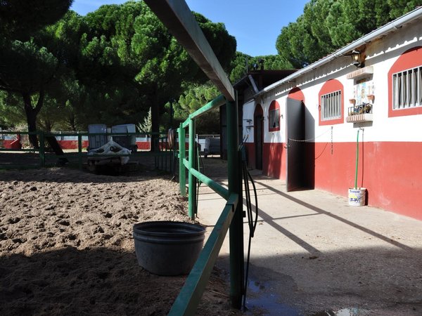 Tudela de Duero,  ES