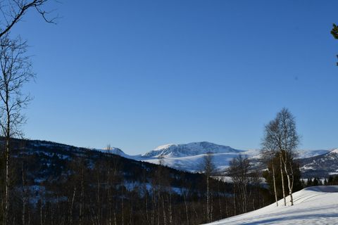 Klettstølvegen, Oppdal