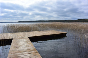Dąbrowa