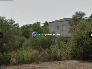 Tripoli,  GR