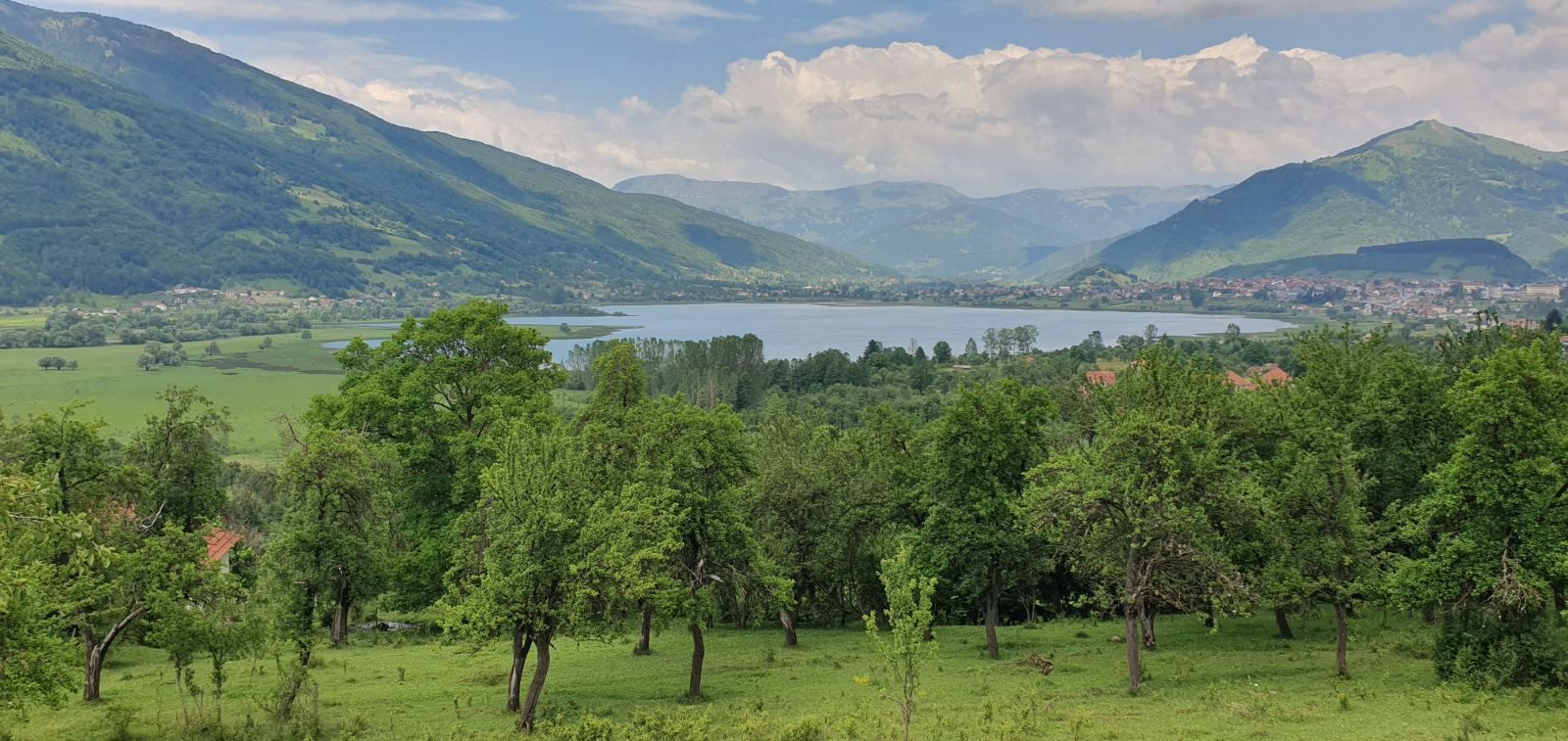 Northern Region, Plav