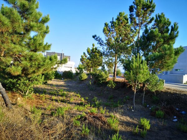 Vila Verde,  PT