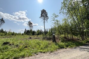Pitkätaipaleentie tontti 1, Renko, Hämeenlinna