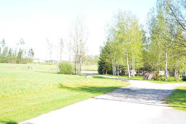 plot for sale, land-profit land - Are, Tori vald, Pärnumaa