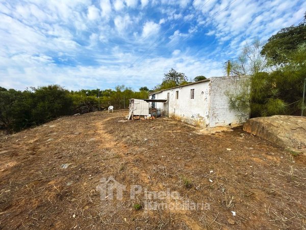 Castilblanco de los Arroyos,  ES