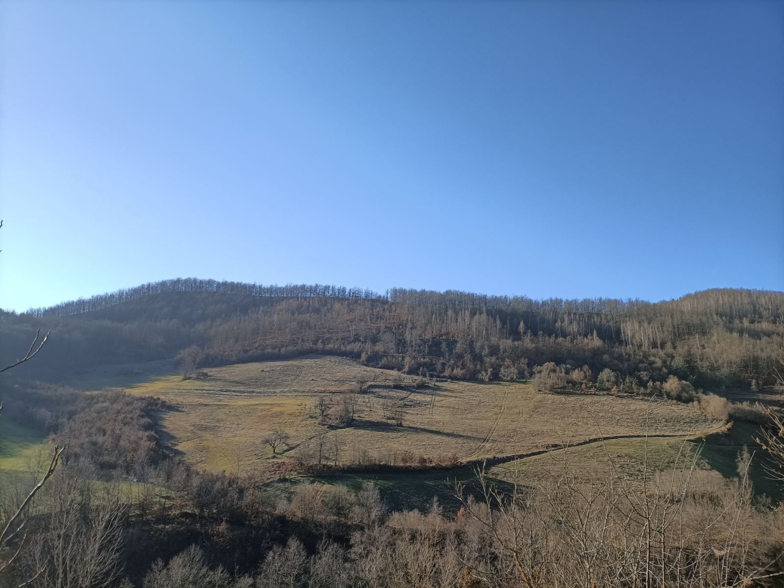 Bijelo Polje, Dubovo