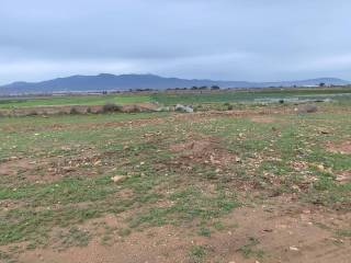 Totana,  ES