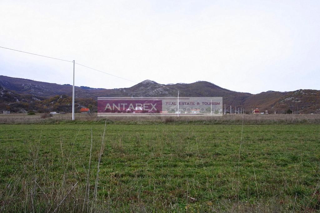 Central Region, Niksic