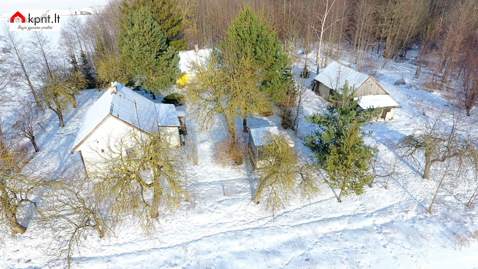 Šakių r. sav. Menčikių k.
