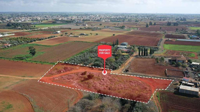 Avgorou, Famagusta
