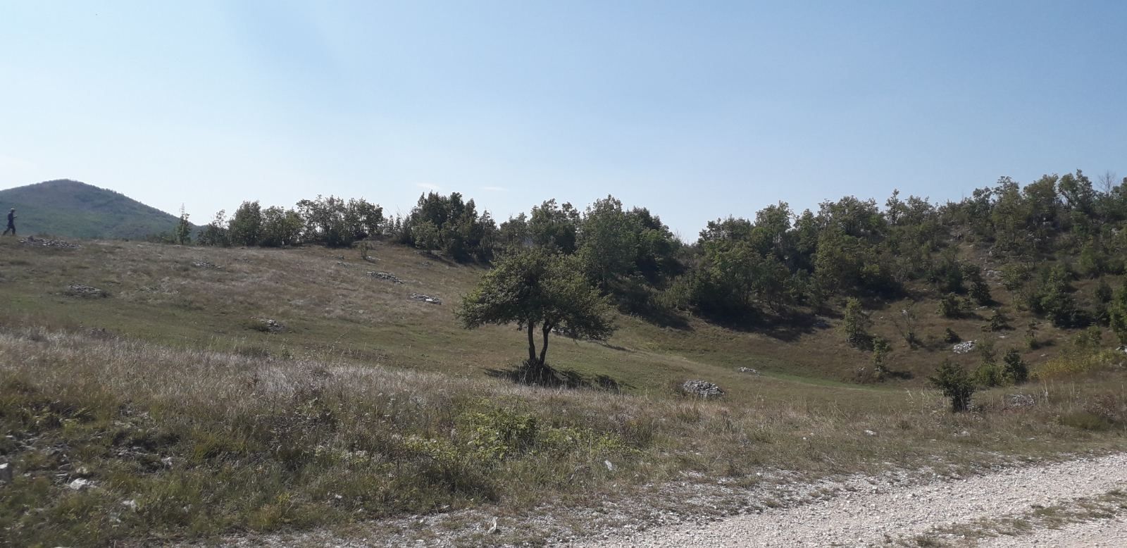 Niksic, Jasenovo Polje