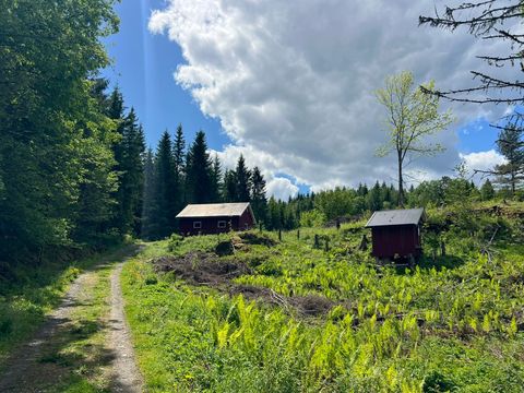 Skogeiendom Haugskogen og Bjønås, Skien