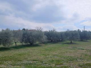 Treia,  IT