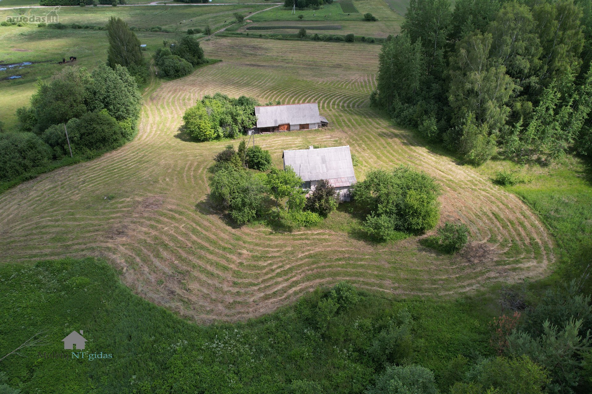 Molėtų r. sav., Žalvarių k. Tiesioji g.