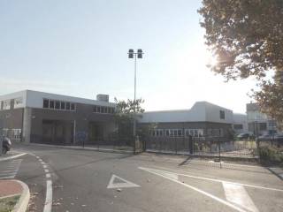 Pesaro,  IT