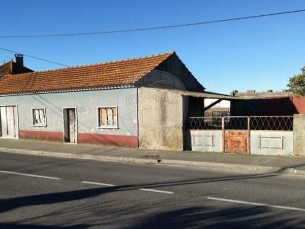 Arazede,  PT