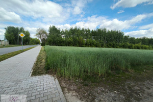 Dobroń