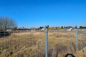 Gorzów Wielkopolski