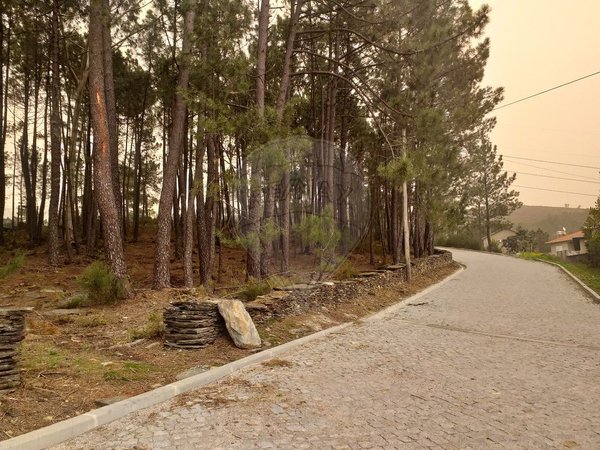 Sobreira,  PT