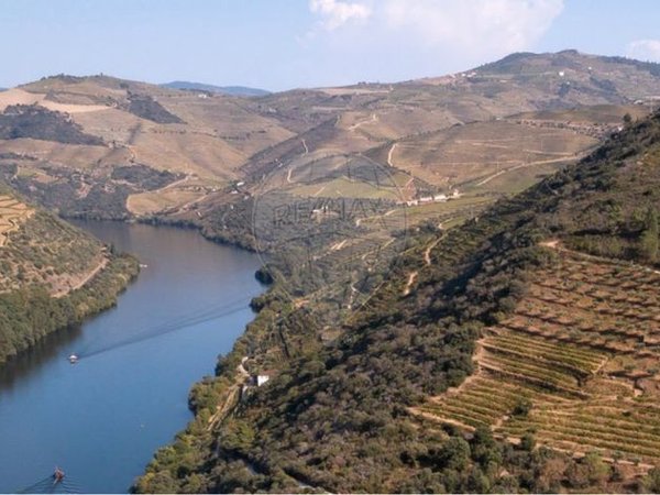Ervedosa do Douro,  PT