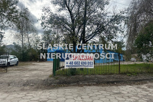 Będzin