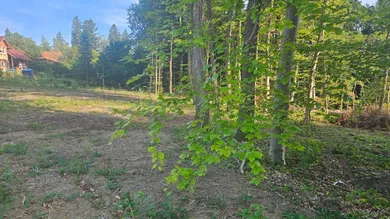 3033 Altlengbach