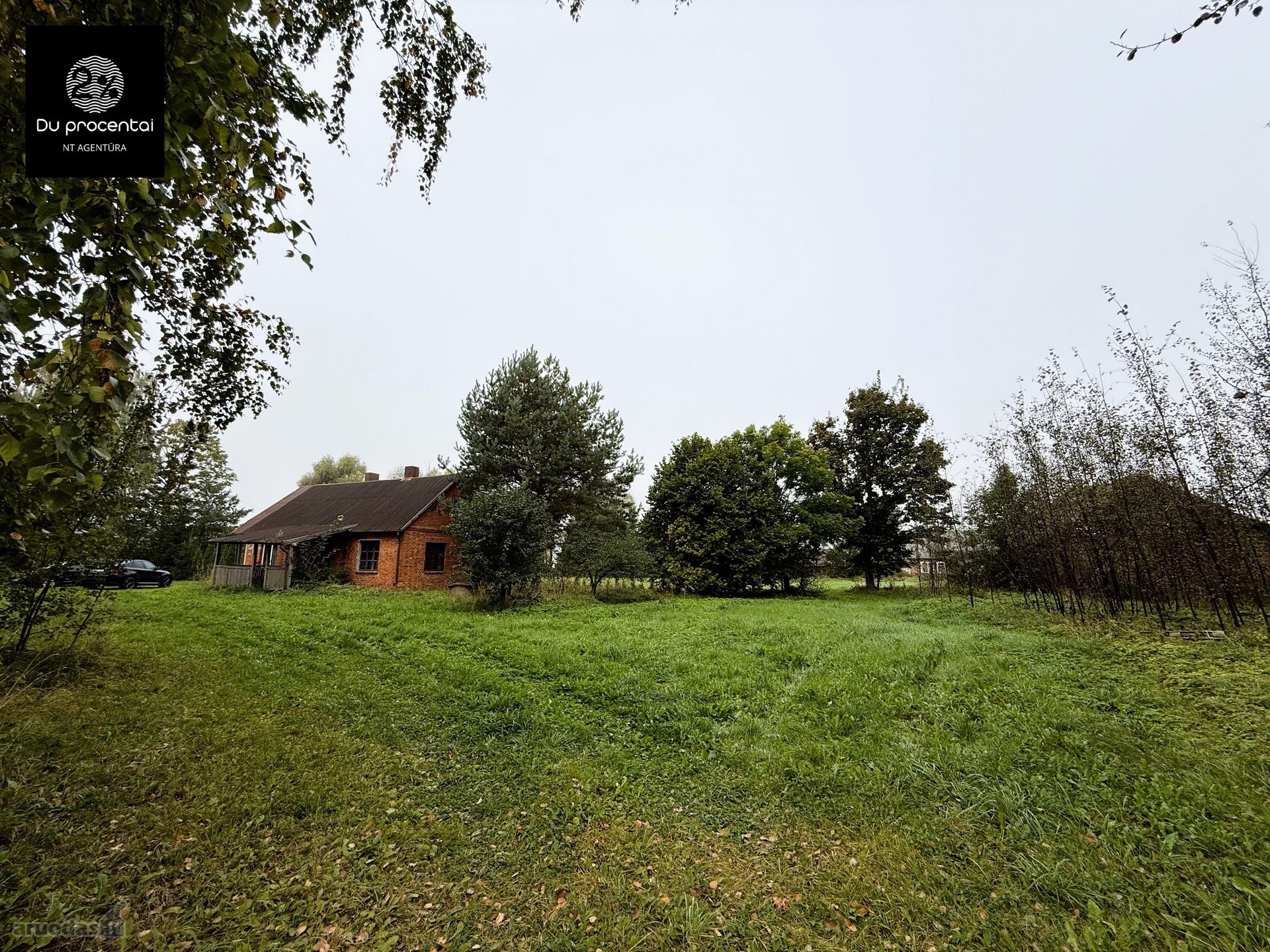 Biržų r. sav., Rinkuškių k. Užtvankos g.