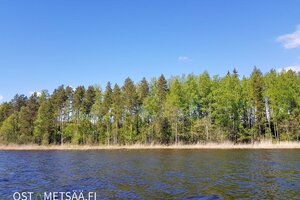Etelä-Karjala Ruokolahti 3 rantatonttia | 700-483-4-35, Ruokolahti