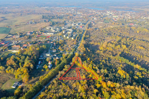 Olecko