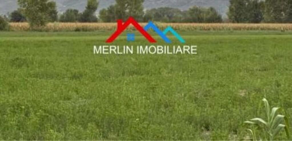 Vora, Berxulla