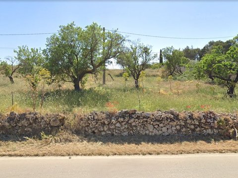 Altamura,  IT