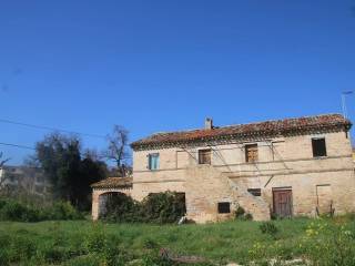 Osimo,  IT
