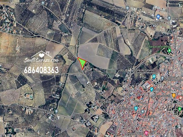 Montilla,  ES