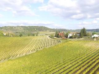 Certaldo,  IT