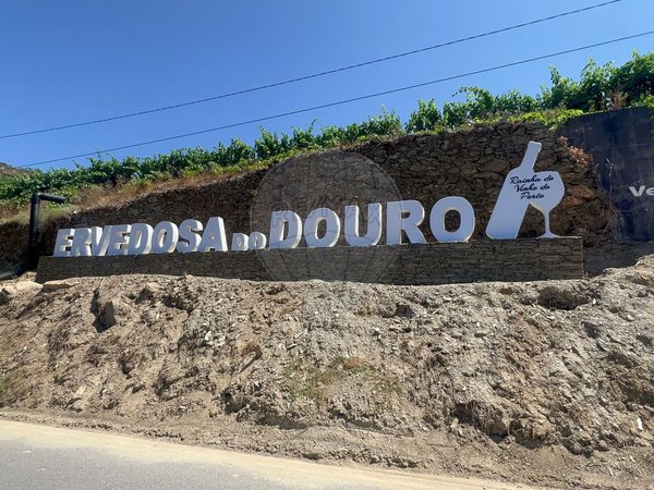 Ervedosa do Douro,  PT
