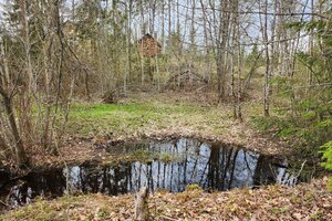 Hepolammintie 140, Pesäkallio, Hollola