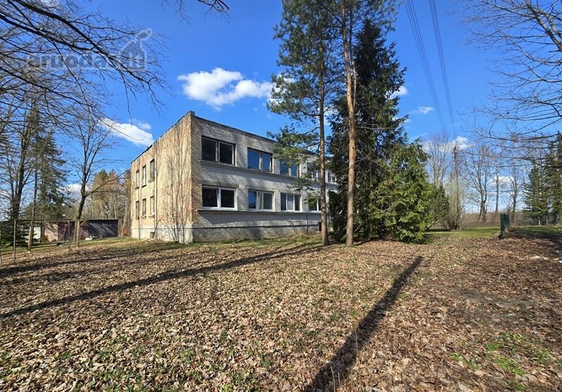Joniškio r. sav., Beržininkų k.