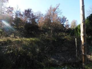 Viladrau,  ES