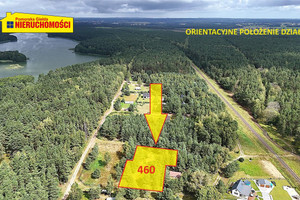 Biały Bór