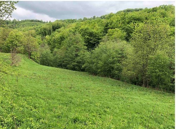 Mojkovac, Lepenac